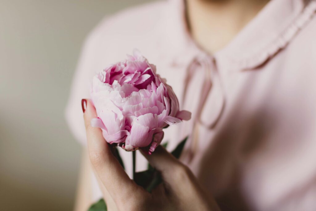 Pink petaled flower